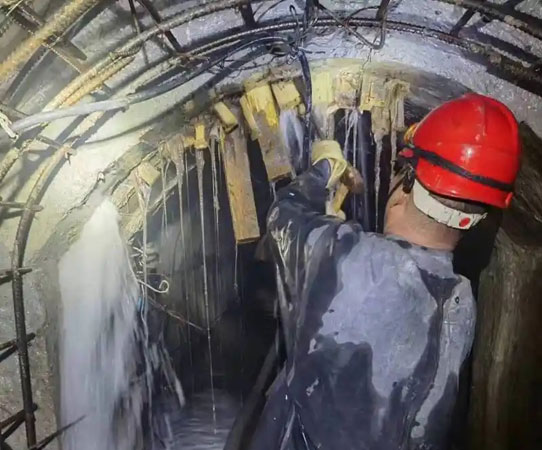 岳口镇大坝堵漏